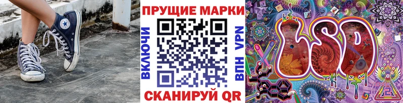 дарнет шоп  Темрюк  площадка как зайти  Наркотические марки 1,5мг 