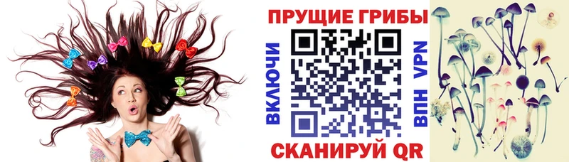 Псилоцибиновые грибы MAGIC MUSHROOMS  сайты даркнета как зайти  Темрюк 